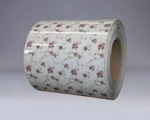 DX51D DX52D DX53D PPGI PPGL COIL